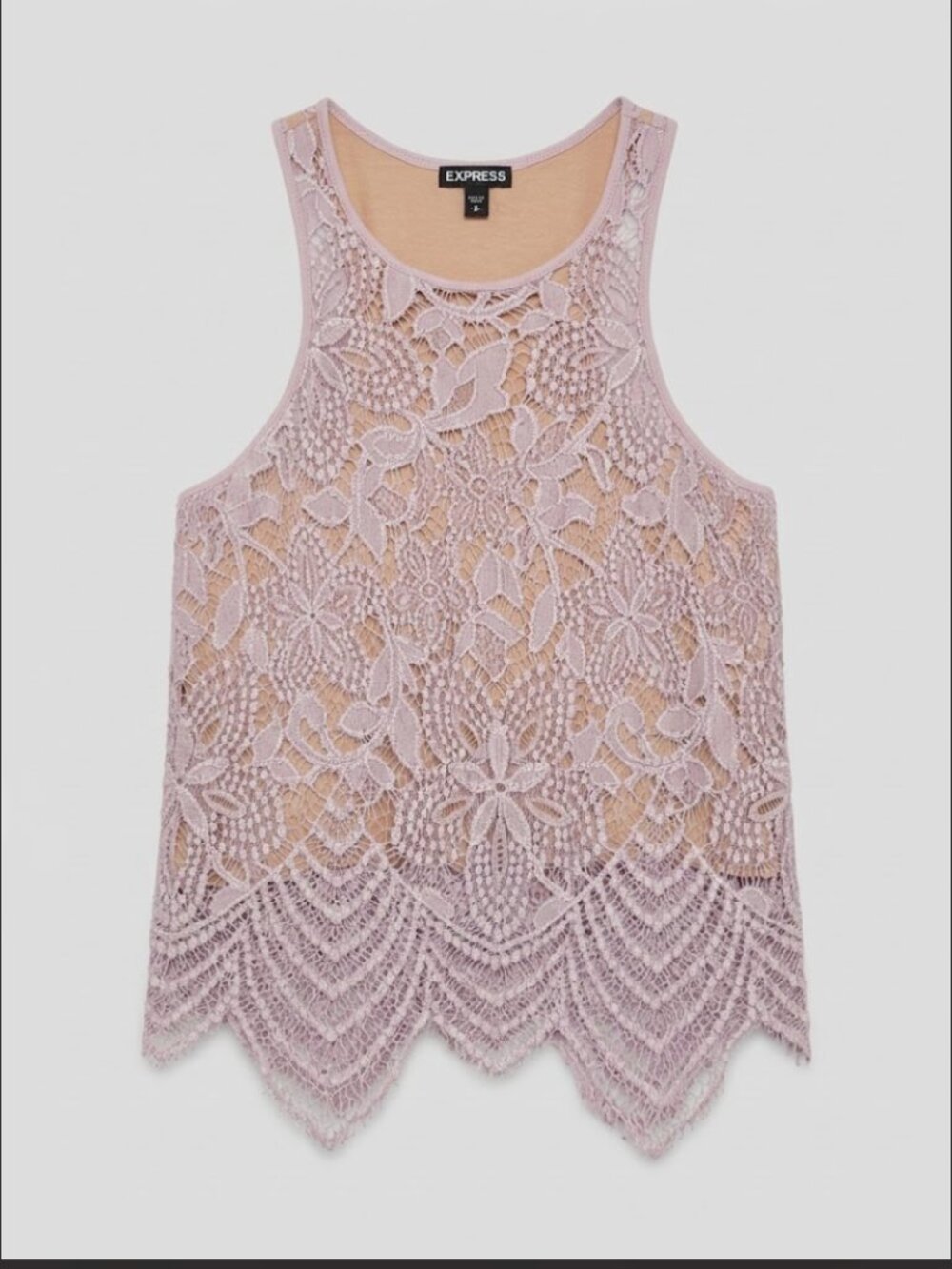 Express Pink Floral Lace Tank Top Nude Lining Scalloped Hem S